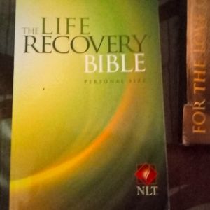 Recovery Bible